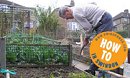 Growing Your Own Food in Swindon