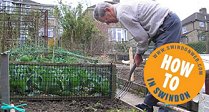 Growing Your Own Food in Swindon