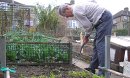 GROWING YOUR OWN FOOD