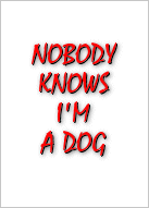 Nobody knows I'm a Dog
