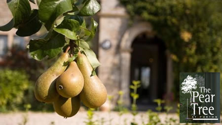 Pear Tree at Purton Weddings Swindon