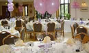 Wedding Venues