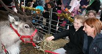 Rudolf in Swindon!