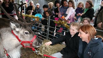 Rudolf in Swindon!