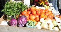 Wiltshire Farmers' Market returns to Swindon Town Centre