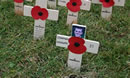 Lydiard Park Field of Remembrance