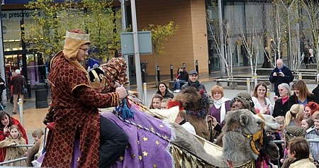 Camels in Swindon 2011