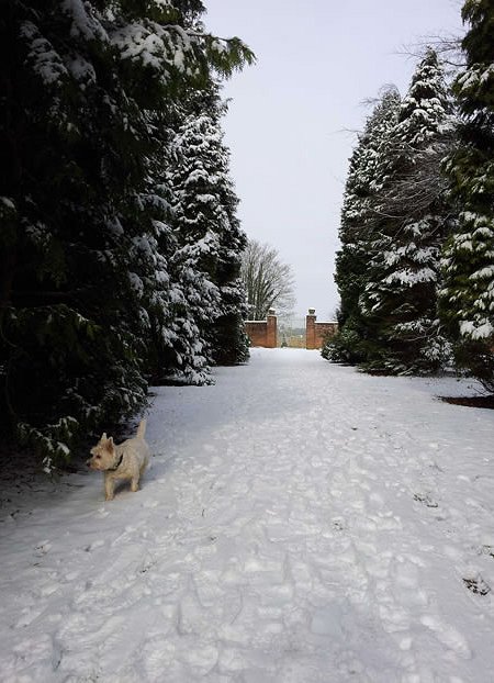 Lydiard Park covered in snow
