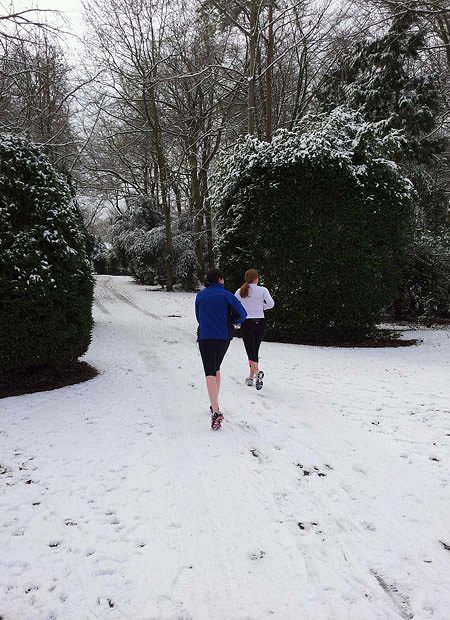 Lydiard Park covered in snow