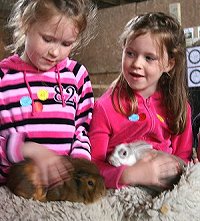 Butts Farm fun near Swindon