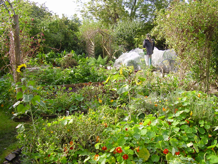 Lower Shaw Farm Working Weekends