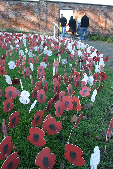 Field of Remembrance, Lydiard Park 2012