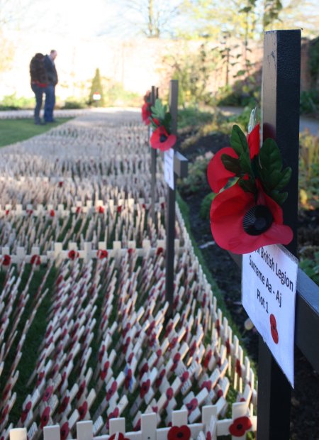 Field of Remembrance, Lydiard Park 2012