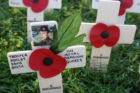 Field of Remembrance, Lydiard Park 2012