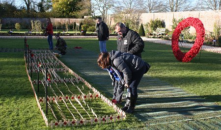 Field of Remembrance, Lydiard Park 2012