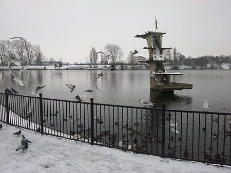 Coate Water frozen