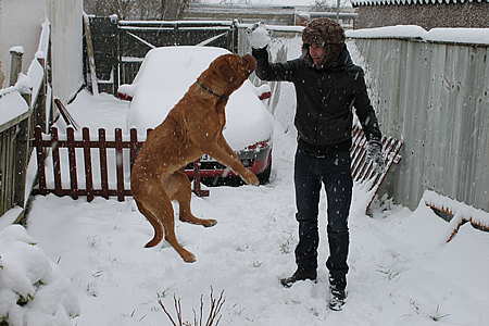 Snow Swindon January 2013 Pictures