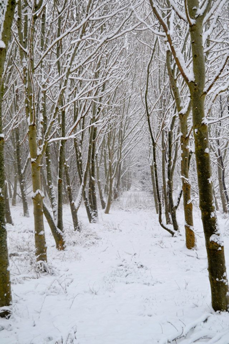 Snow Swindon January 2013 Pictures