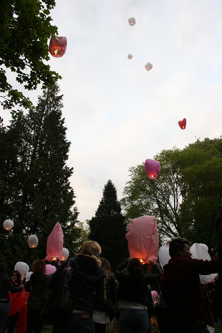 A419 crash victims tribute in Town Gardens