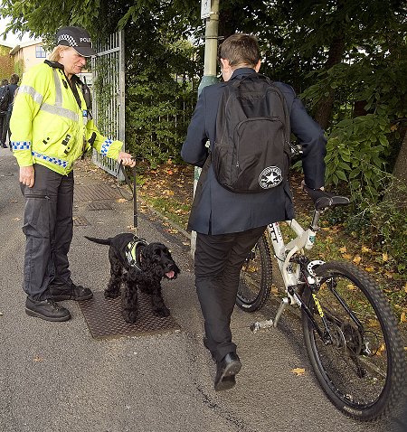 Griffin Police Dog Swindon