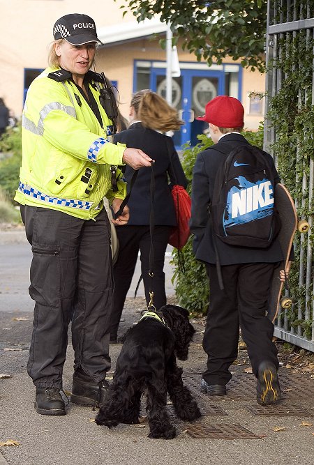 Griffin Police Dog Swindon