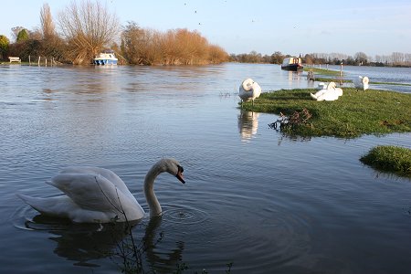 Floods at Lechlade, Swindon