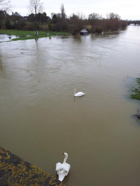 Lechlade Thames Flood