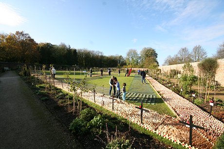 Lydiard Park Field of Remembrance