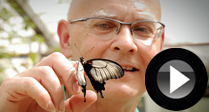 Enjoy A Butterfly Bank Holiday