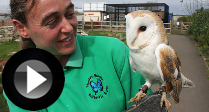 Barny the Barn Owl