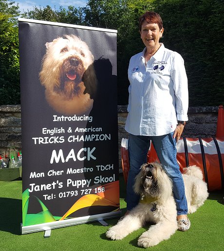 Janet's Puppy Skool Swindon