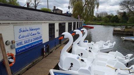 Swan boats for hire in Lechlade