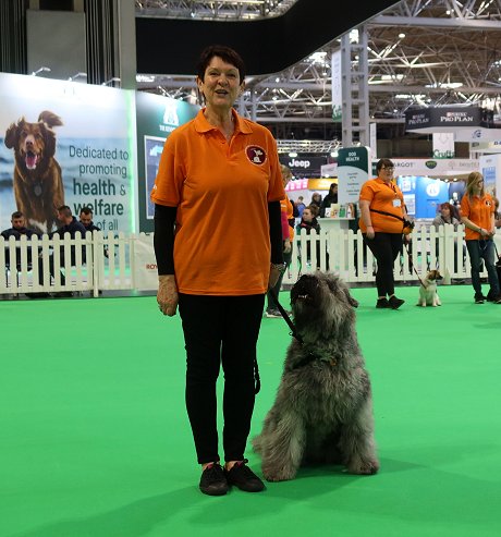 Janet's Puppy Skool at Crufts 2020