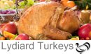 Free Range Turkey in Swindon
