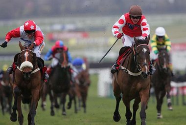 My Way To Solzen leads Golden Cross up the hill at Cheltenham 2006 - copyright racingfotos.com