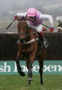Robert 'Chocolate' Thornton and Voy Por Ustedes jumping the last at the Cheltenham Festival