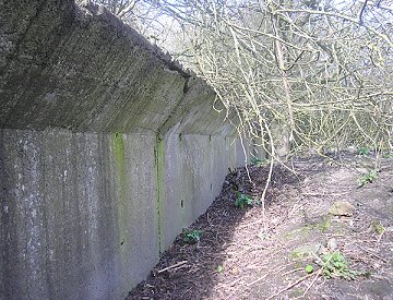 Chiseldon Camp rail platform 2008