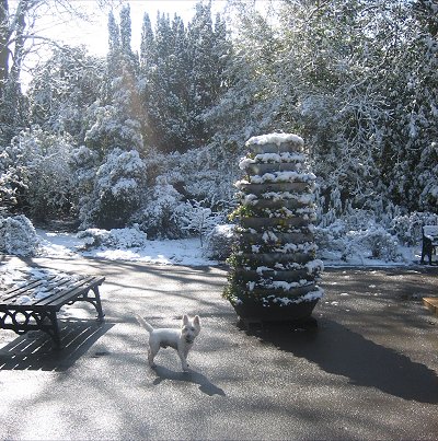 Snowtime Swindon 2008