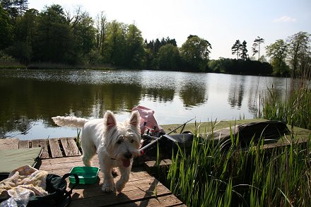 Stanton Park Swindon - Milo