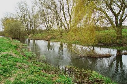 Cricklade Water Meadow in Swindon