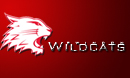 Wildcats clash with Milton Keynes