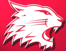 Swindon Wildcats 2008/09