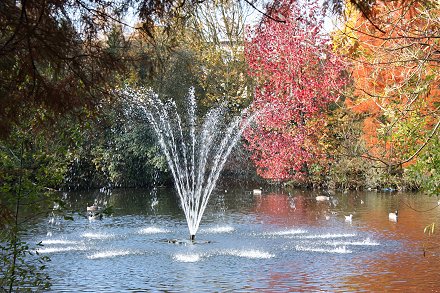 Autumn in Swindon