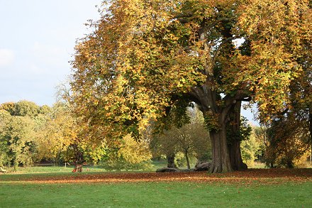 Autumn in Swindon