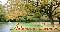 Autumn colours 2008