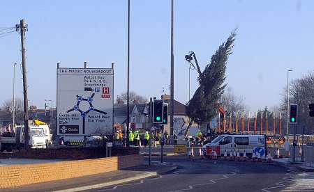 Magic Roundabout Christmas tree