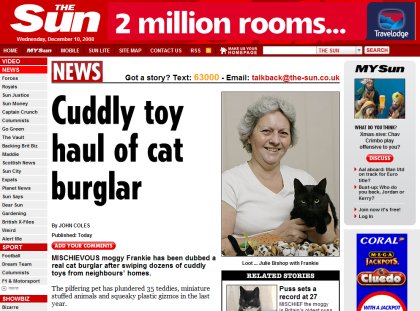 Cat burglar Swindon