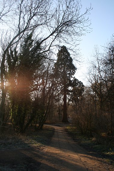 Stanton Park Swindon 03 Jan 2009