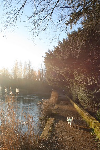 Stanton Park Swindon 03 Jan 2009