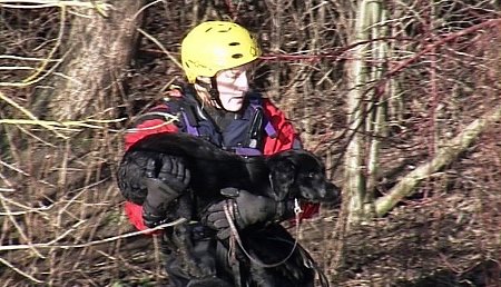 Swindon Dog Rescue 03 Jan 2008